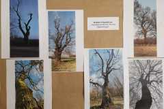 IMG-20250410-WA0078