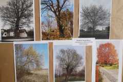 IMG-20250410-WA0082