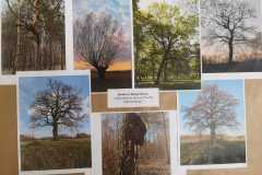 IMG-20250410-WA0083
