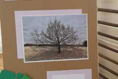 IMG-20250410-WA0084