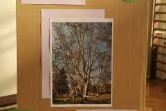 IMG-20250410-WA0085