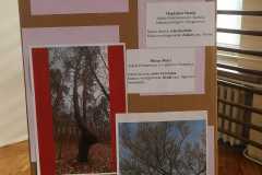 IMG-20250410-WA0086
