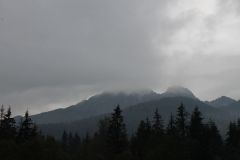 IMG_2703