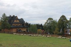 IMG_2844