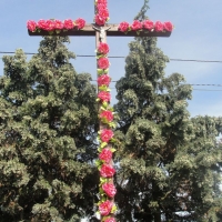 DSC02142