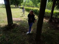 IMG_20180615_100830