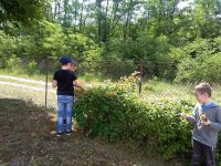 IMG_20180615_100846