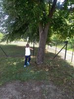 IMG_20180615_100852