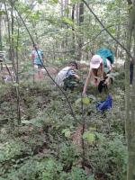 tn_20180615_104545