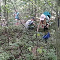 tn_20180615_104545