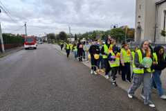 IMG-20241017-WA0019
