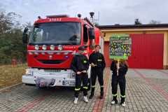 IMG-20241017-WA0029