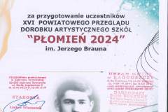 20241216110733641_0005