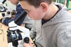 WhatsApp-Image-2026-02-15-at-20.32.04-1