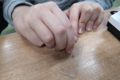 WhatsApp-Image-2026-02-15-at-20.32.04-2