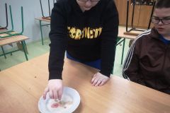 WhatsApp-Image-2026-02-15-at-20.32.09-1