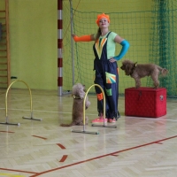 IMG_1658
