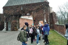 IMG_20211116_093248