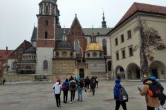 IMG_20211116_095932