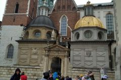 IMG_20211116_102903