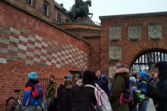 IMG_20211116_105341