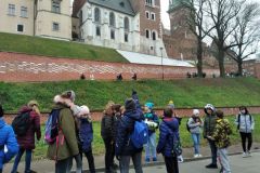 IMG_20211116_110126