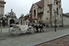 IMG_20211116_113157