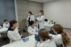 IMG_20211116_153126