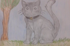 kot7.