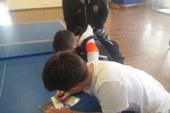 IMG-20250317-WA0031