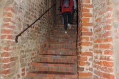 DSCN6581