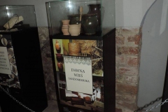 DSCN6586