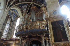 DSCN6606