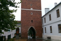 IMG_20210917_135656