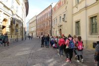 IMG_5052
