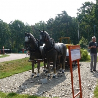 P1130011