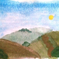 15,5