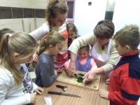 IMG_20161110_172343