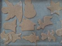 IMG_20161203_115515