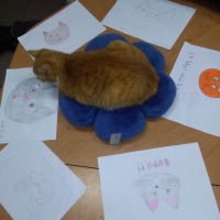 6