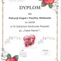 z_dyplom_13