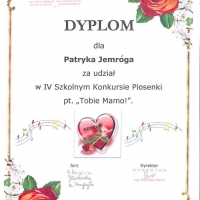 z_dyplom_17
