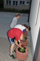 IMG_2530