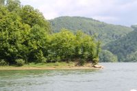 IMG_3406