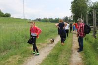 IMG_3482