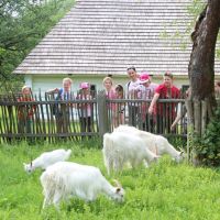 IMG_5679