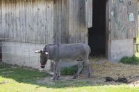IMG_3825