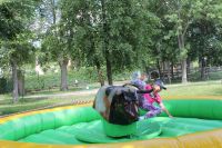 IMG_3882