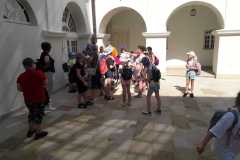 IMG-20230619-WA0013
