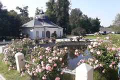 IMG-20230619-WA0016